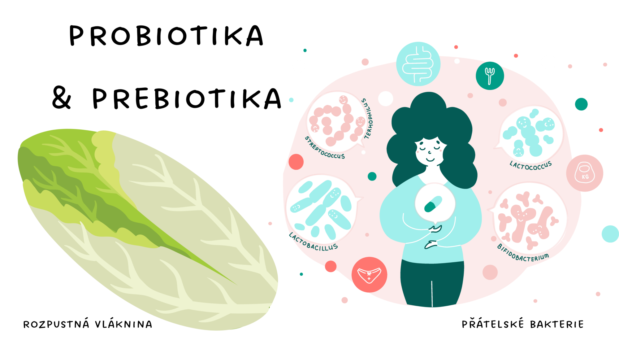 MIKROBIOM – ZDRAVÍ | Fit Pohyb
